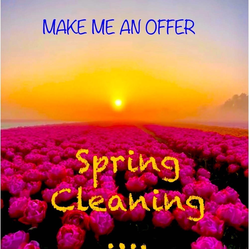 MAKE ME AN OFFER: Spring Cleaning…